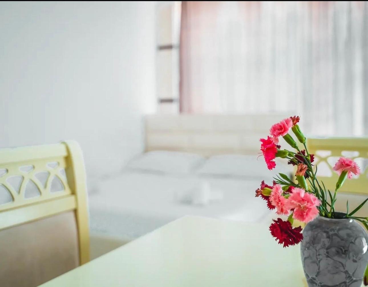 Hotel Kaci Velipoje Ngoại thất bức ảnh